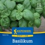 Kiepenkerl Basilikum Prospera F1-Hybride, resistent gegen Krankheiten, aromatische Blätter.