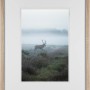 Breiter MDF-Bilderrahmen in Eiche gekälkt, 50x70 cm, mit Passepartout für Fotos und Bilder.