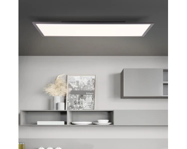 Brilliant LED-Deckenaufbau-Paneel Jacinda 80 cm x 40 cm Schwarz kaufen bei  OBI