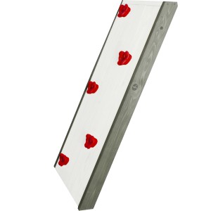 Sunny Spielhaus Kletterwand aus Holz mit roten Klettergriffen, Zubehör für Gartenspielgeräte.