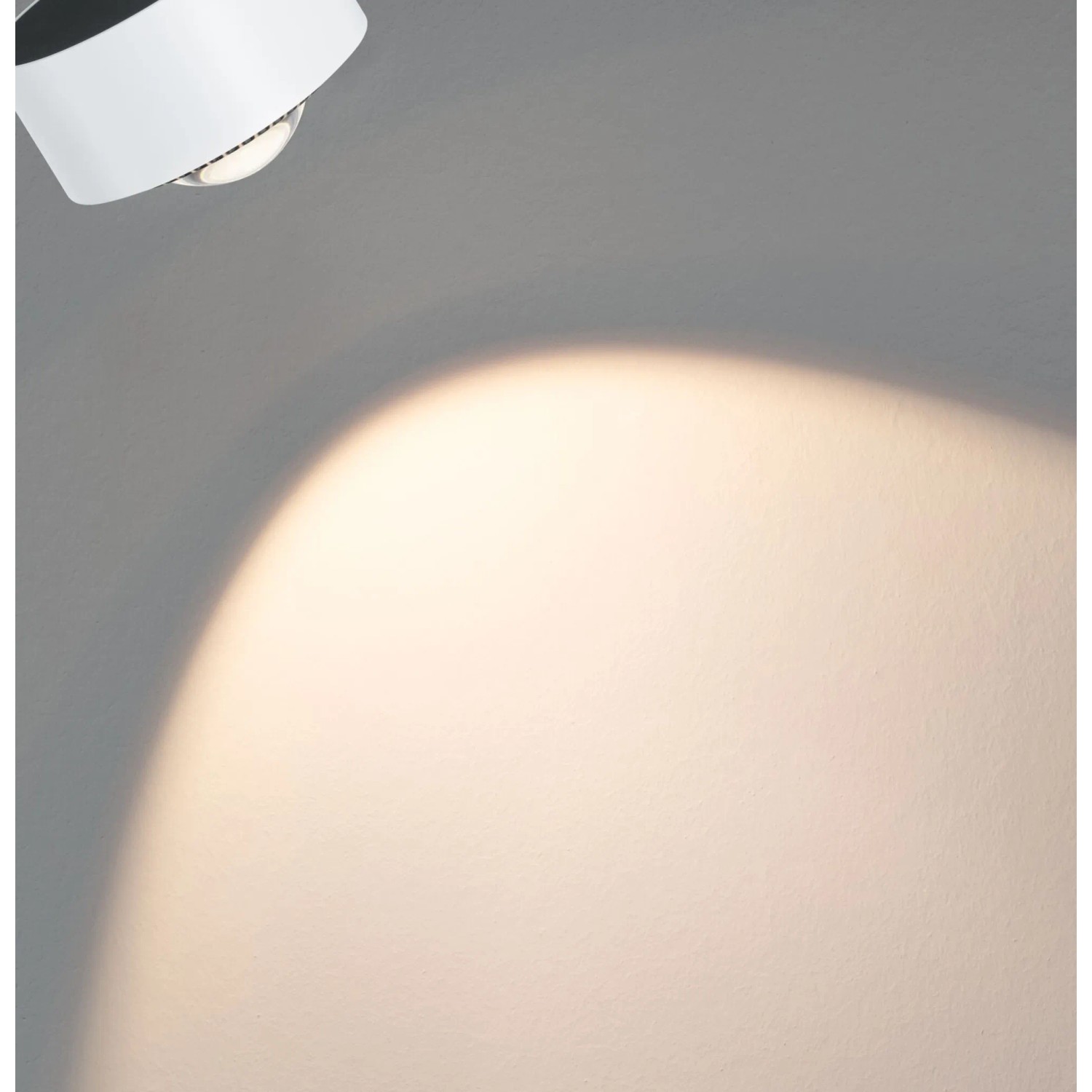 Paulmann LED-Schienenspot Aldan, signalweiß, mit warmweißem Lichtkegel an der Wand.