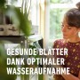 Compo Sana Grünpflanzen- und Palmenerde 10 l_8