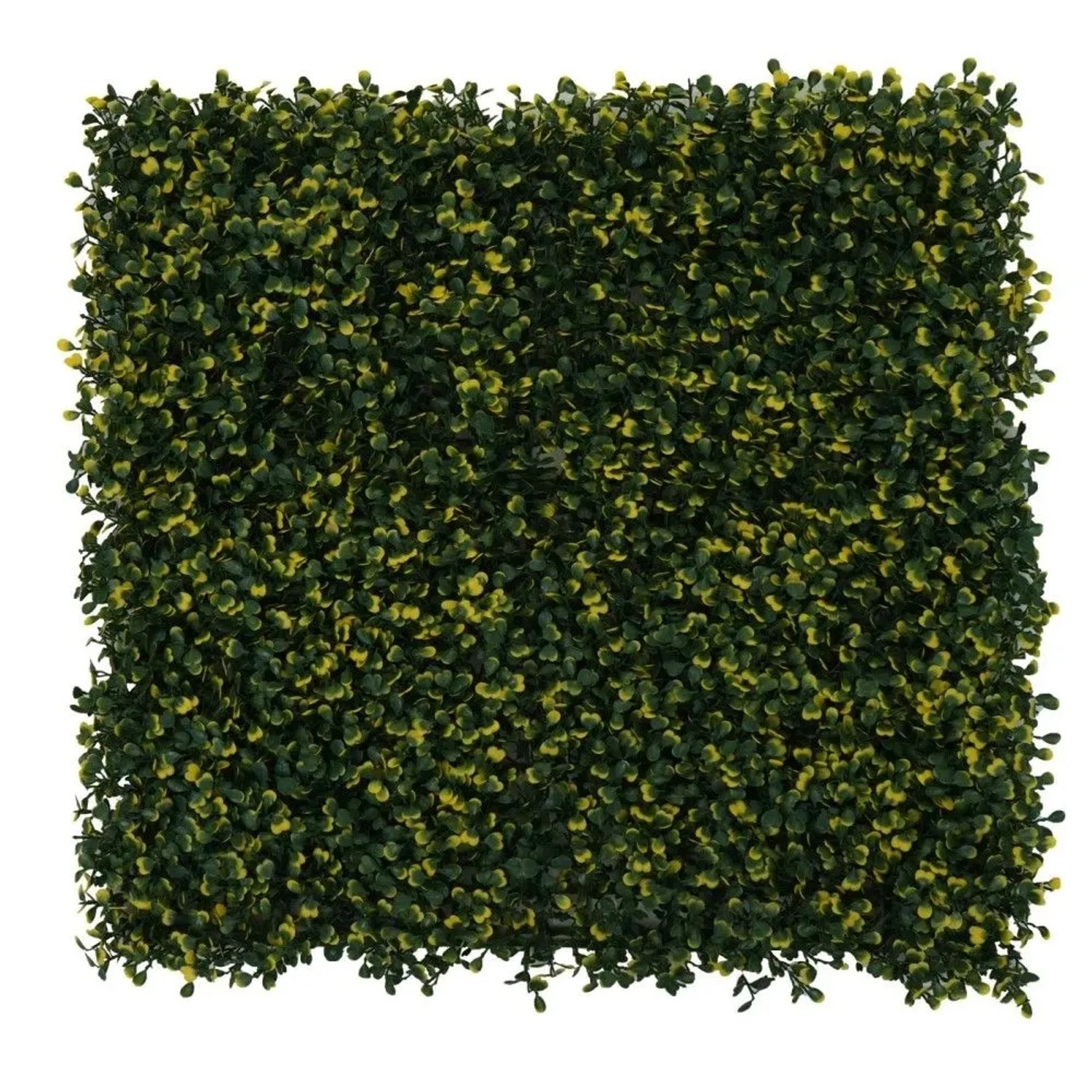 MCW Wandfliese L78, Buchs Grün-Gelb, für Balkon, Terrasse oder Garten.