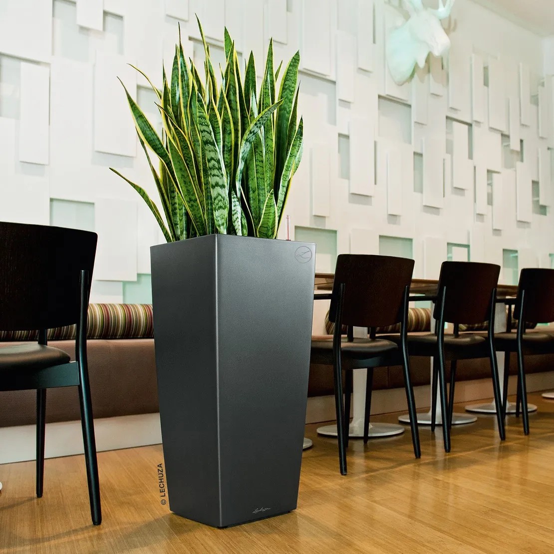 Lechuza Cubico 30 Pflanzsäule – Silber Metallic, Mit Bewässerungssystem, Für Innen & Außen