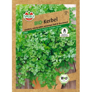 Sperli Bio-Kerbel Fijne Krul Samen im Samentütchen, einjähriges Küchenkraut mit Anis-Aroma.