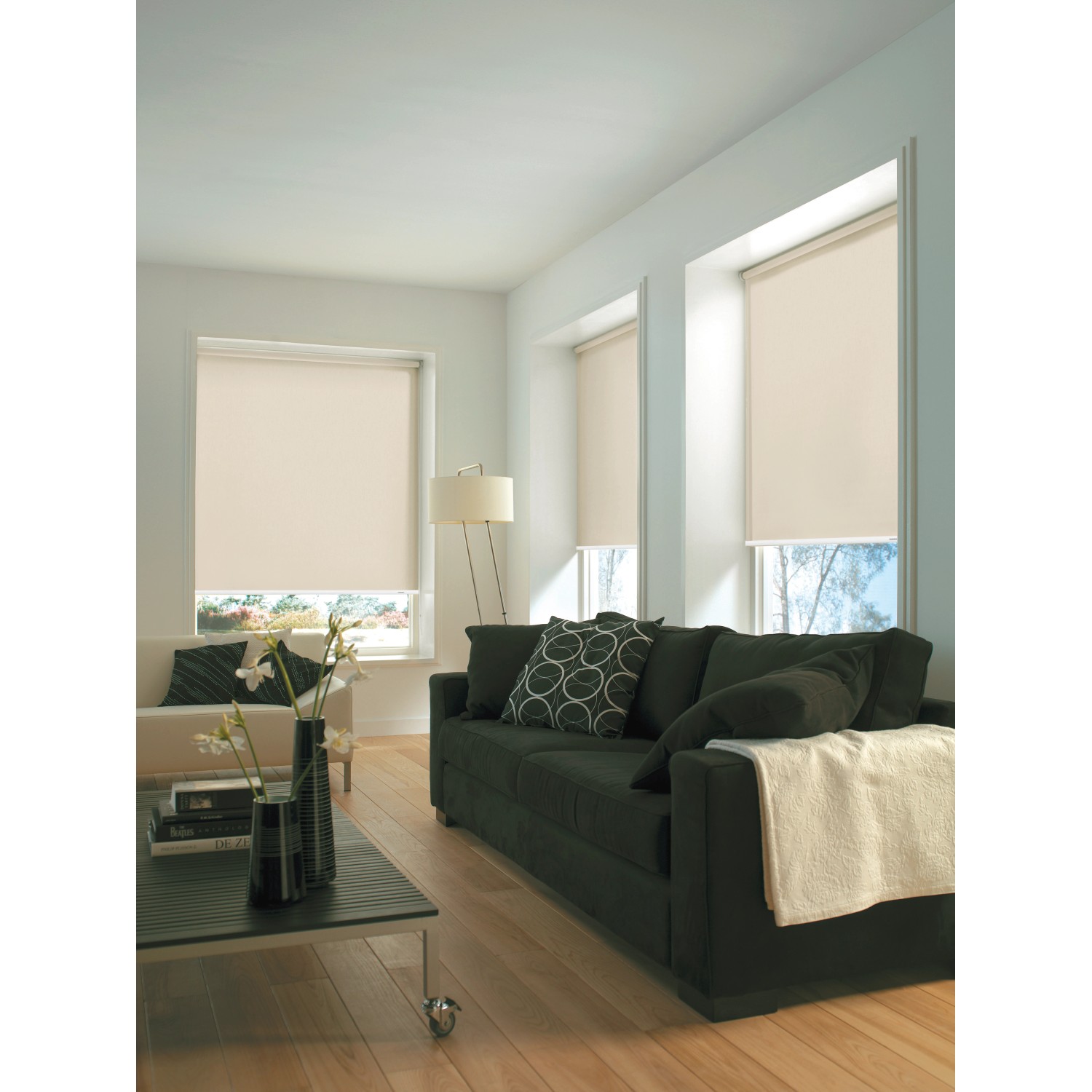 Gardinia Seitenzug-Rollo Uni Trend, 62x180 cm, Champagner, in Wohnraum-Szene.