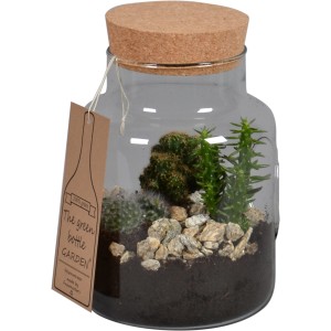 Kaktus-Arrangement im Glasgefäß, ca. 18cm Topf-Ø, mit Korkdeckel und Steinen dekoriert.