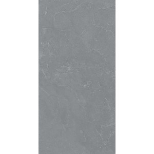 Feinsteinzeug Bodenfliese in Anthrazit, matte Glasur, 60x120 cm, Steinoptik für Innen- & Außenbereich.