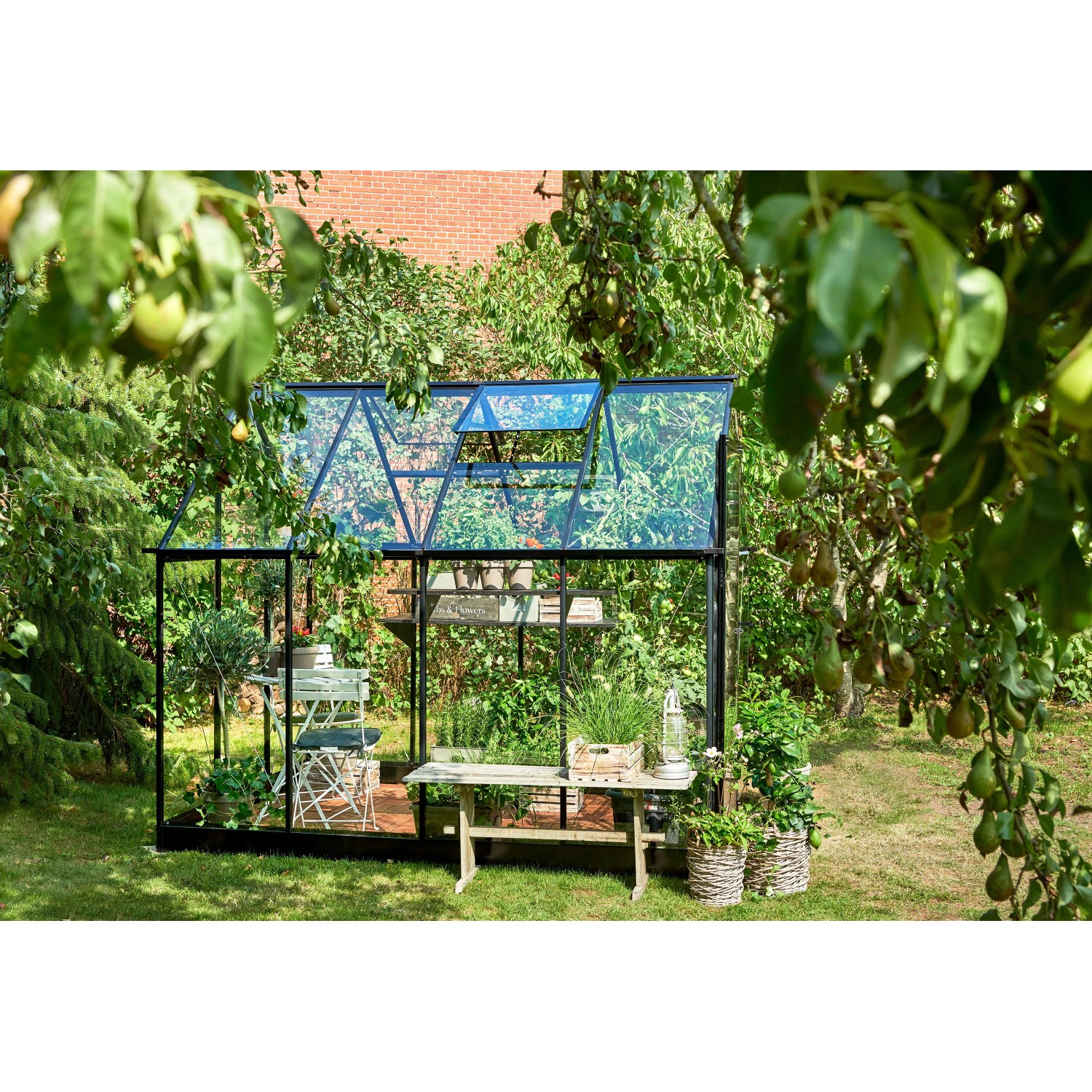 Schwarzes Halls Gewächshaus Qube 68 (5 m²) im Garten mit Pflanzen und Gartentisch.