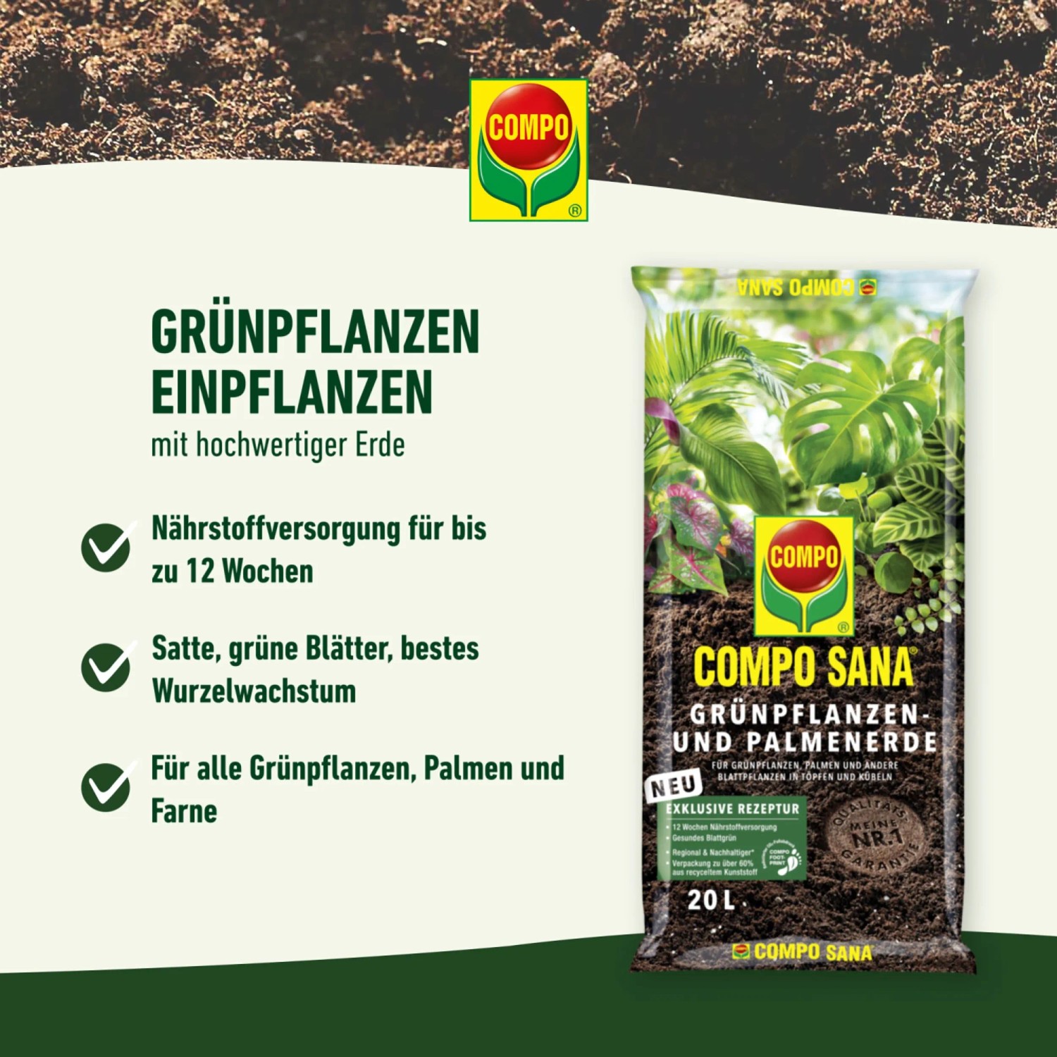 Compo Sana Grünpflanzen- und Palmenerde 1 x 5 l_3