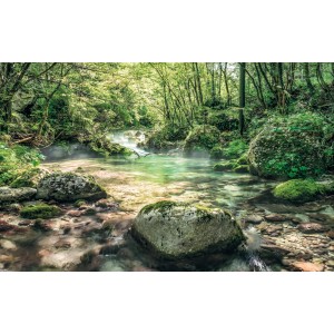 Komar Vlies Fototapete Tranquil Pool: Wald Bachlauf mit Steinen und grünem Ufer, 400x250 cm.