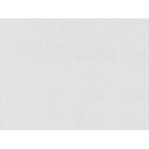 Meistervlies Protect Vliestapete Flächenputz FSC®