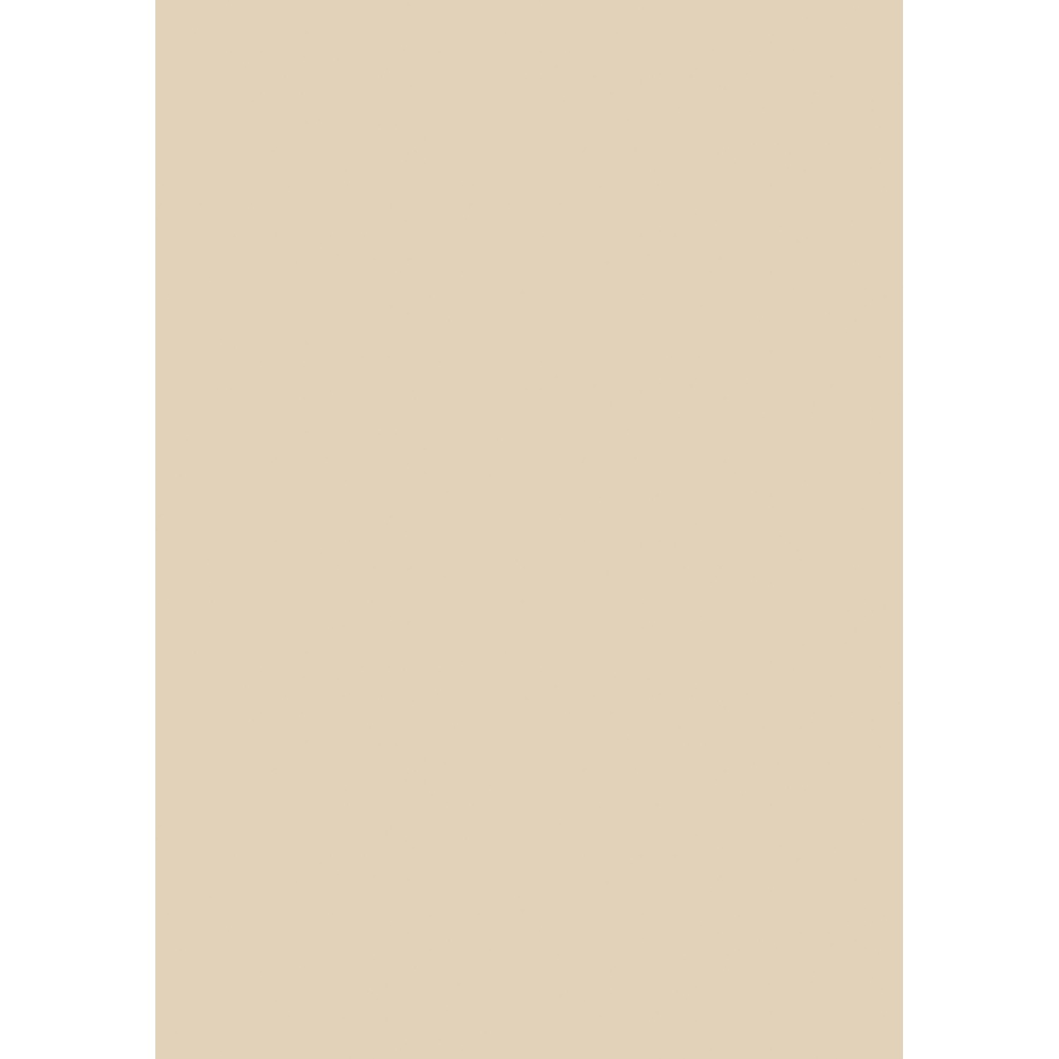 ABSKante mit Kleber 0,45 mm x 22 mm x 50 m Sand kaufen bei OBI