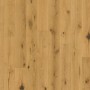 Parador Parkett Basic 11-5 Eiche gebürstet, naturgeölt. Landhausdielen Optik.