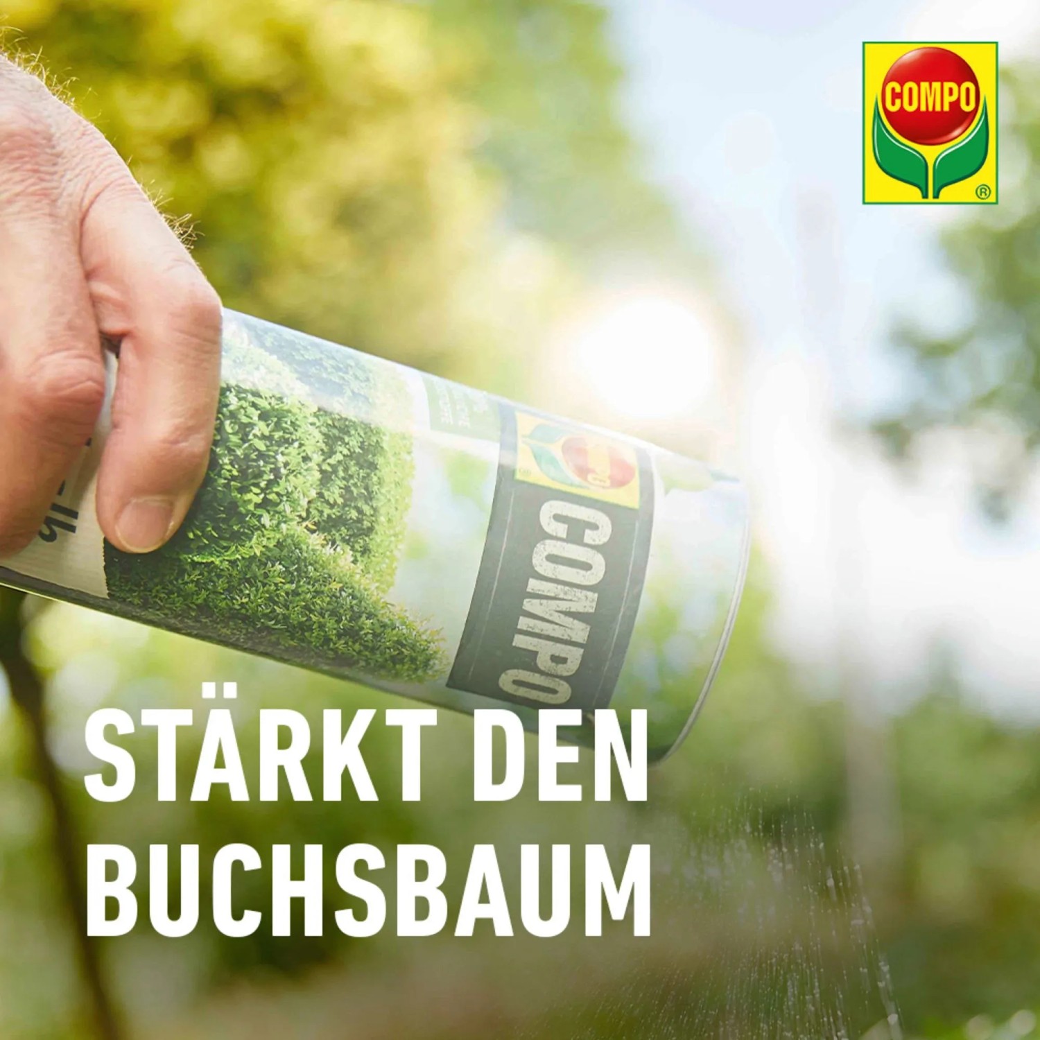 Compo Premium Algenkalk fr Buchsbume 1 kg kaufen bei OBI