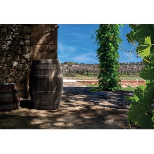 Waterform Regentonne Botaqua 250 l Braun