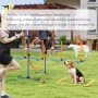 PawHut Hund Agility Set in Blau-Orange auf Rasen. Beagle trainiert am Sprunghoop, weitere Hunde und Hindernisse im Garten.