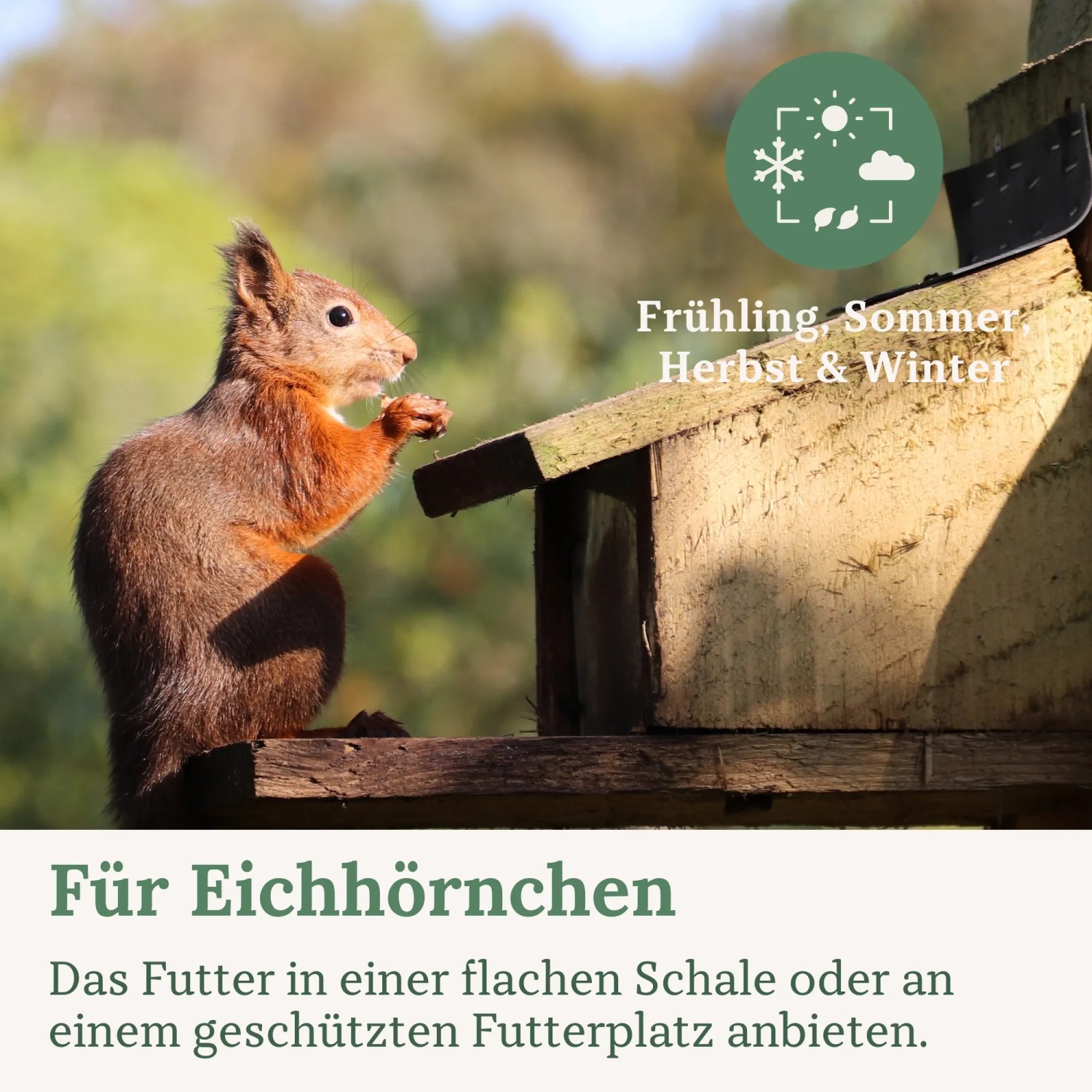 Orni Eichhörnchenfutter_5