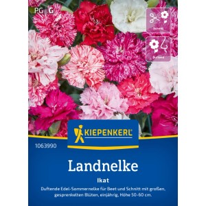 Kiepenkerl Landnelke Ikat Blumensamen mit gesprenkelten, pinken, roten und weißen Blüten.