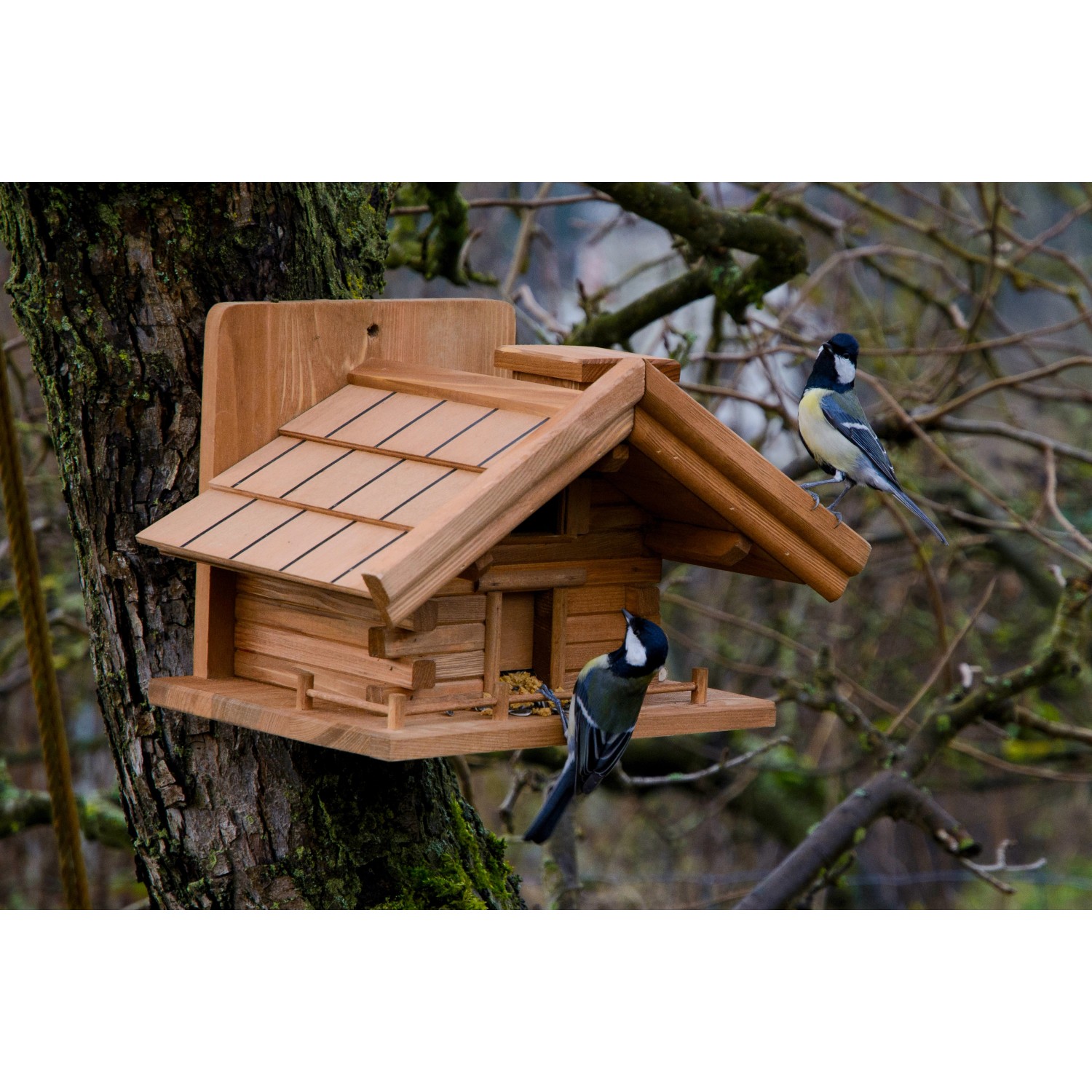 Holz-Vogelhaus „St. Moritz“ im Berghütten-Design mit zwei Meisen am Baum.