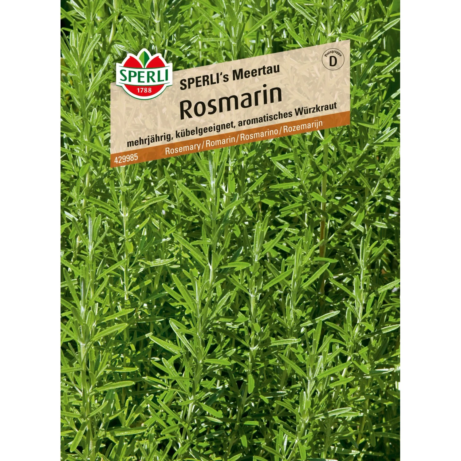 Sperli Rosmarin 'Meertau' Samenpackung, aromatisches Küchenkraut für Garten und Balkon.