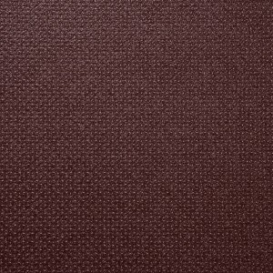 Siebdruckplatte Birke Twin 250 cm x 125 cm x 1,8 cm Braun