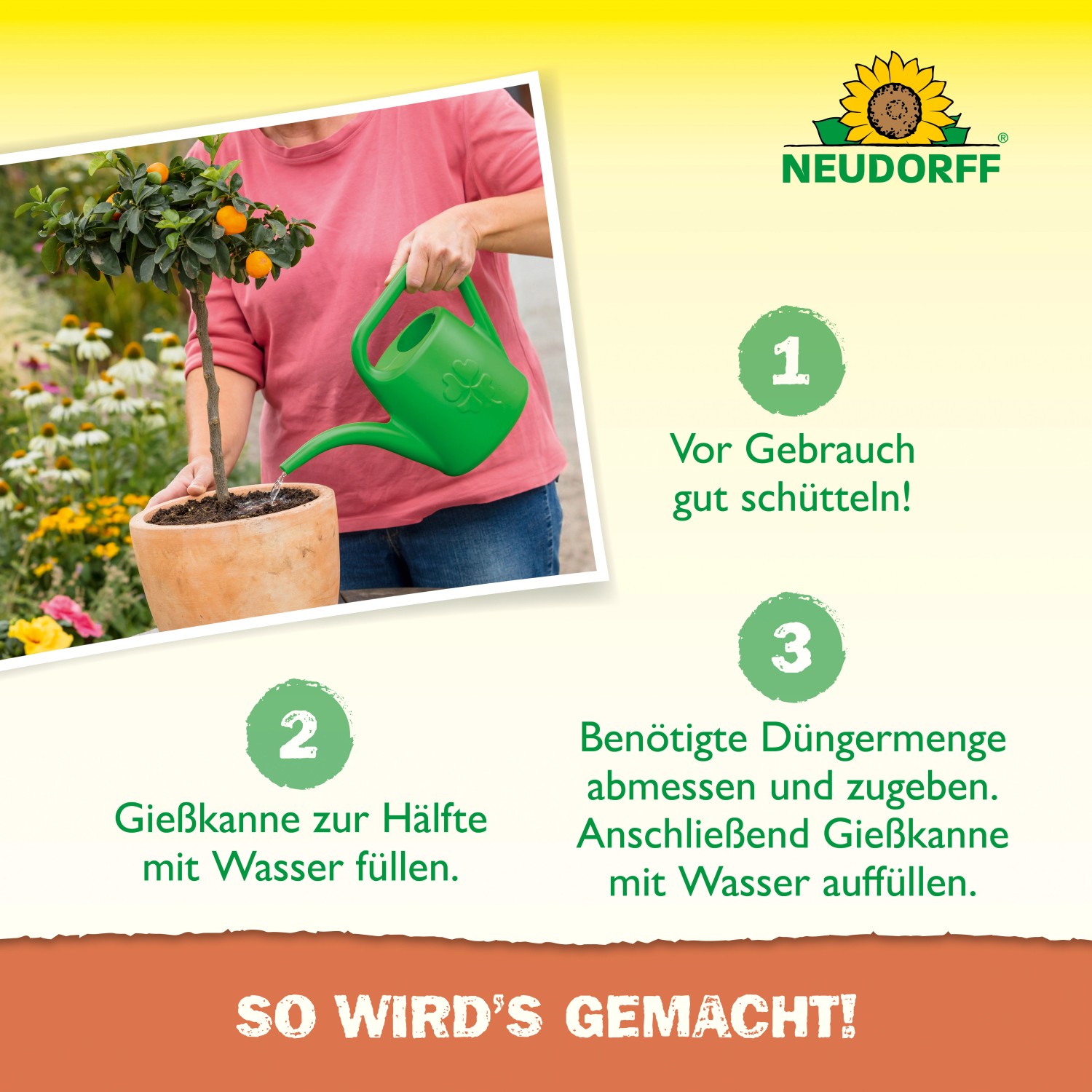 Anwendung von Neudorff Azet Plus Zitrusdünger: Gießkanne mit Wasser und Dünger für gesunde Pflanzen.