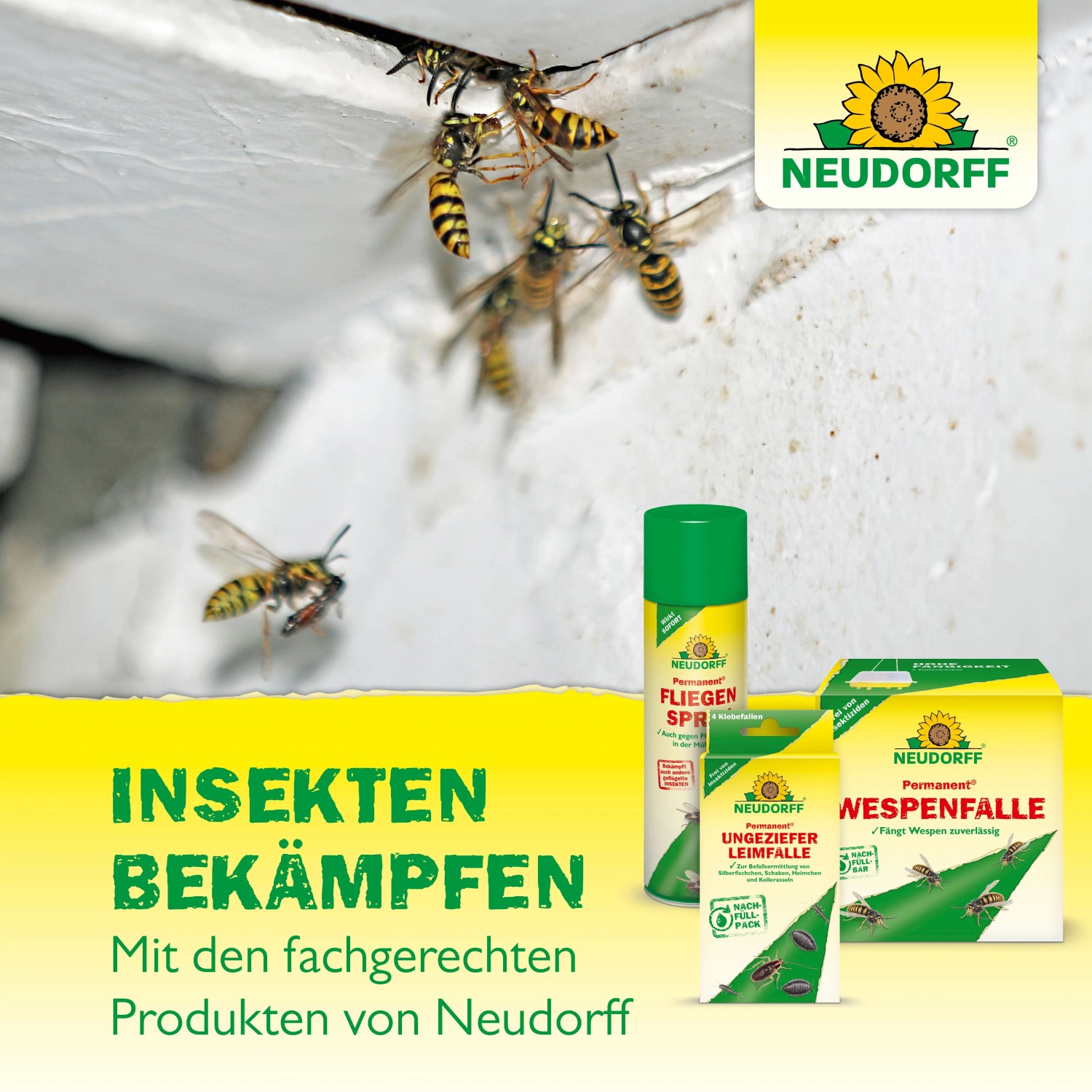 Neudorff Insektenspray und Fallen gegen Wespen, Fliegen, Mücken. Effektive Schädlingsbekämpfung für Zuhause.