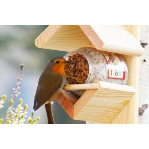 Vogelfutterspender: Halter aus Kiefernholz mit Rotkehlchen am Futterglas.