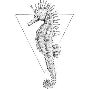 Komar Wandbild Sea Horse White 50x70 cm: Zeichnung eines Seepferdchens vor einem Dreieck.