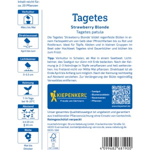 Kiepenkerl Tagetes Strawberry Blonde Saatgut: Blütensamen für farbenfrohe Sommerblumen.