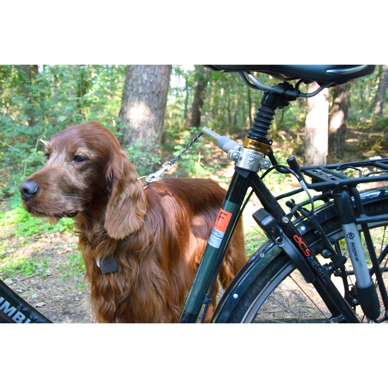 Fahrrad Hundeleine Walky Dog Plus kaufen bei OBI