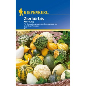 Mehrfarbige Zierkürbis-Mischung von Kiepenkerl, ideal zur Dekoration.