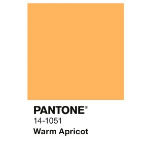 Alpina Innenfarbe Pantone Warm Apricot. Quadratisches Farbmuster in hellem Orange-Apricot mit Pantone-Code.