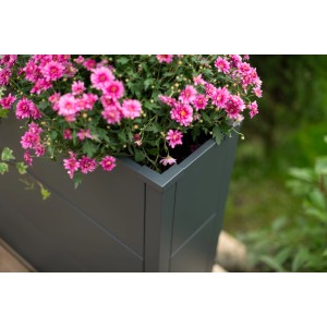 Anthrazitfarbener Westmann Pflanzkübel Talus XL mit pinkfarbenen Blumen.