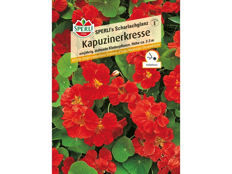 Kapuzinerkresse kaufen bei OBI