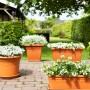 Anthrazitfarbene Florus Pflanztöpfe Cilindro (Ø 30 cm) mit Bepflanzung im Garten.
