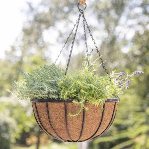 Siena Garden Hängeampel Wrought, Ø 35 cm, mit Kokoseinlage, Kette und Haken. Bepflanzt mit Blumen.