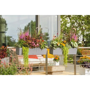 Lechuza Balconera Stone 80, steingrauer Blumenkasten mit üppiger Bepflanzung auf einem Balkon.