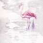 Komar Vlies Fototapete mit pinkfarbenem Flamingo auf hellem Holzgrund, 200x250 cm.