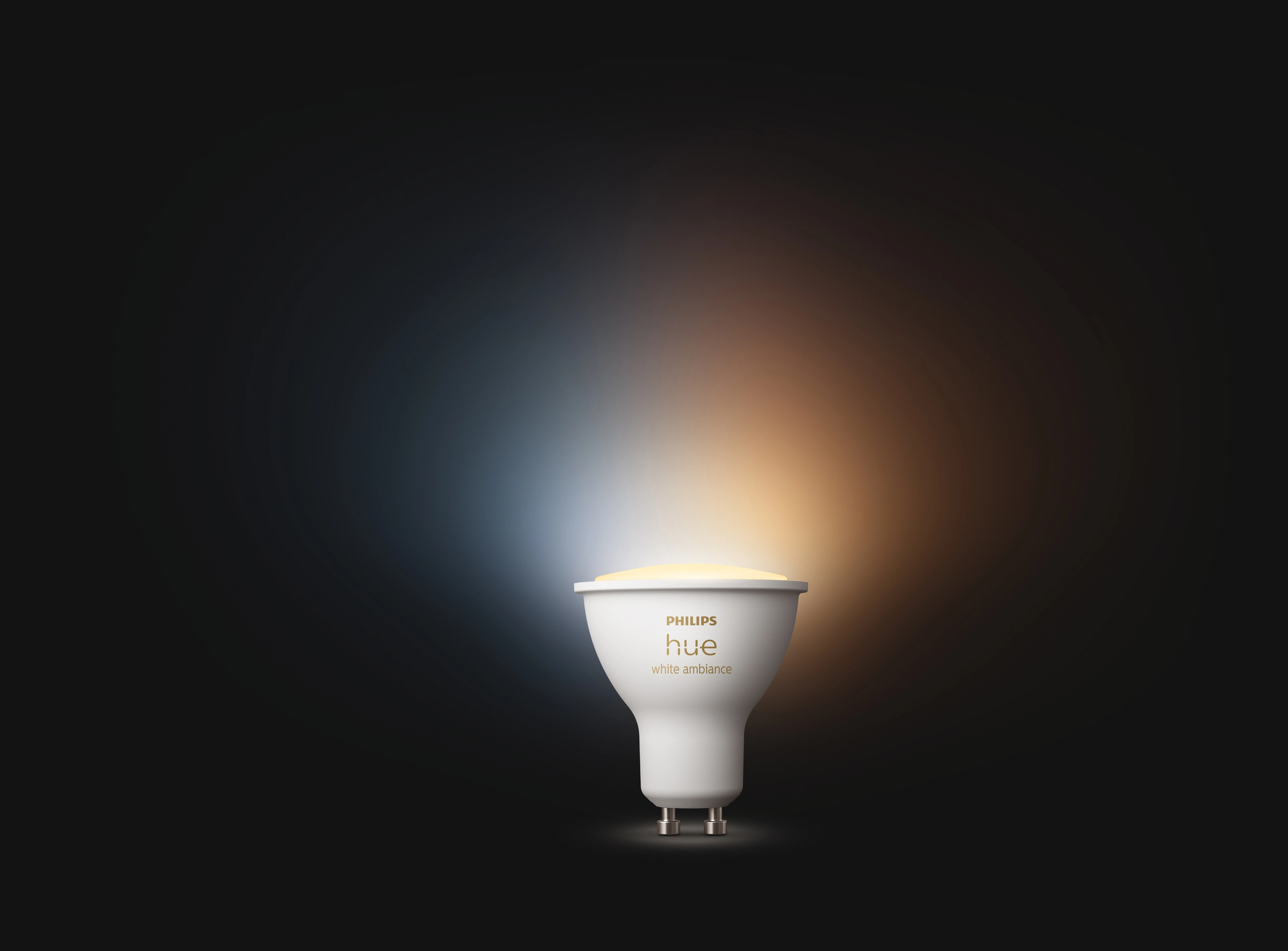 Philips Hue LED-Leuchtmittel White Ambiance E27 Einzelpack G125 Filament  550 lm kaufen bei OBI