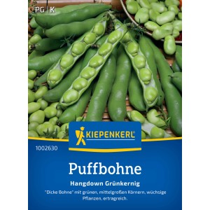 Kiepenkerl Puffbohne "Hangdown Grünkernig"