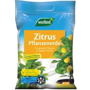 Sack Westland Zitruspflanzenerde 8 l für gesunde Zitruspflanzen und üppige Früchte.