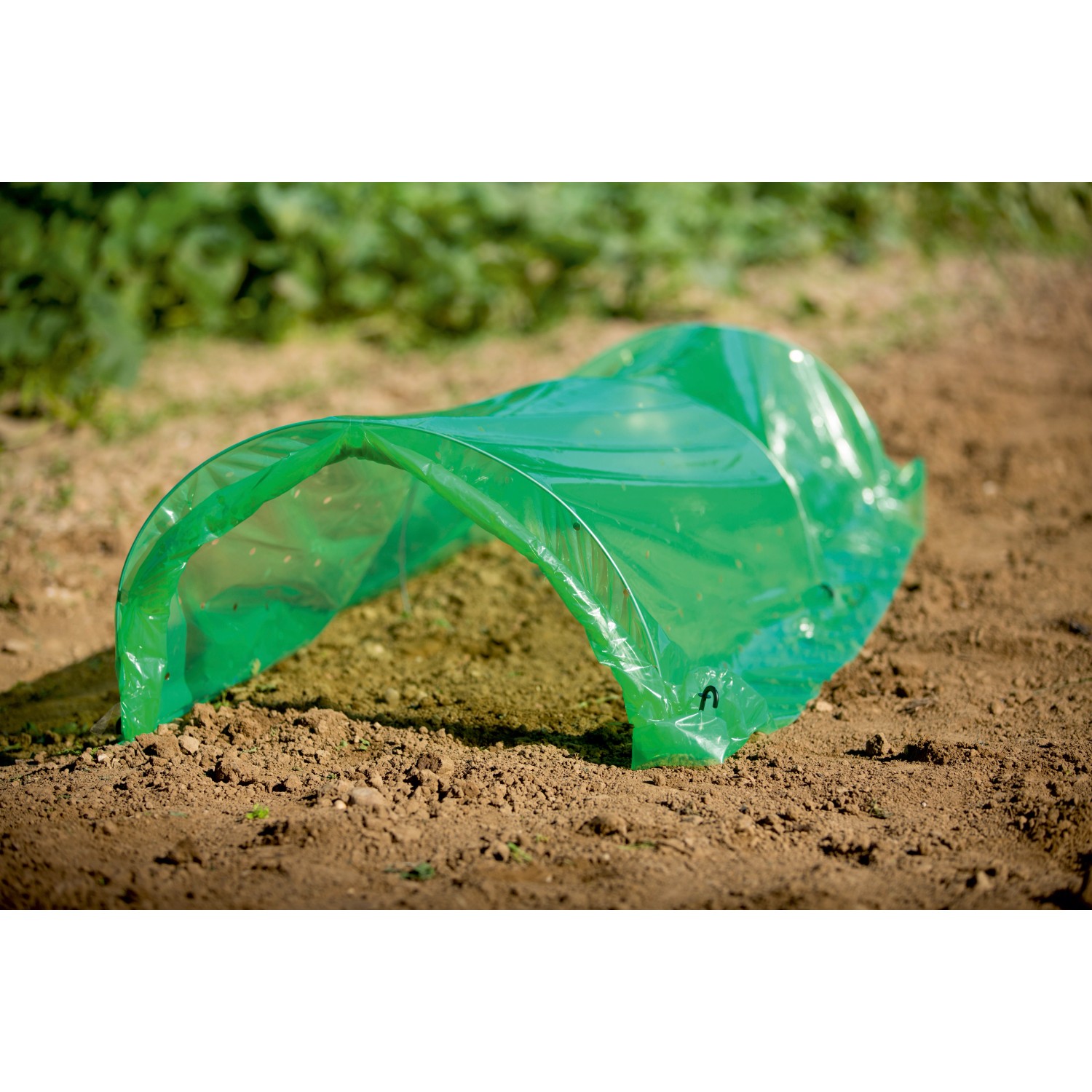 Grüner Folientunnel 1,2 m x 3 m zum Schutz von Pflanzen im Garten.