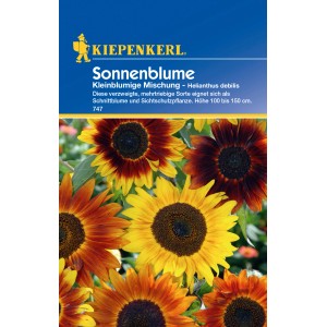 Kiepenkerl Sonnenblumen, kleinblumige Mischung in Gelb-, Orange- und Rottönen.