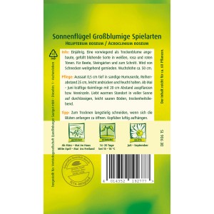 Samentüte Quedlinburger Sonnenflügel, großblumige Spielarten für Beet, Steingarten und Schnittblumen.