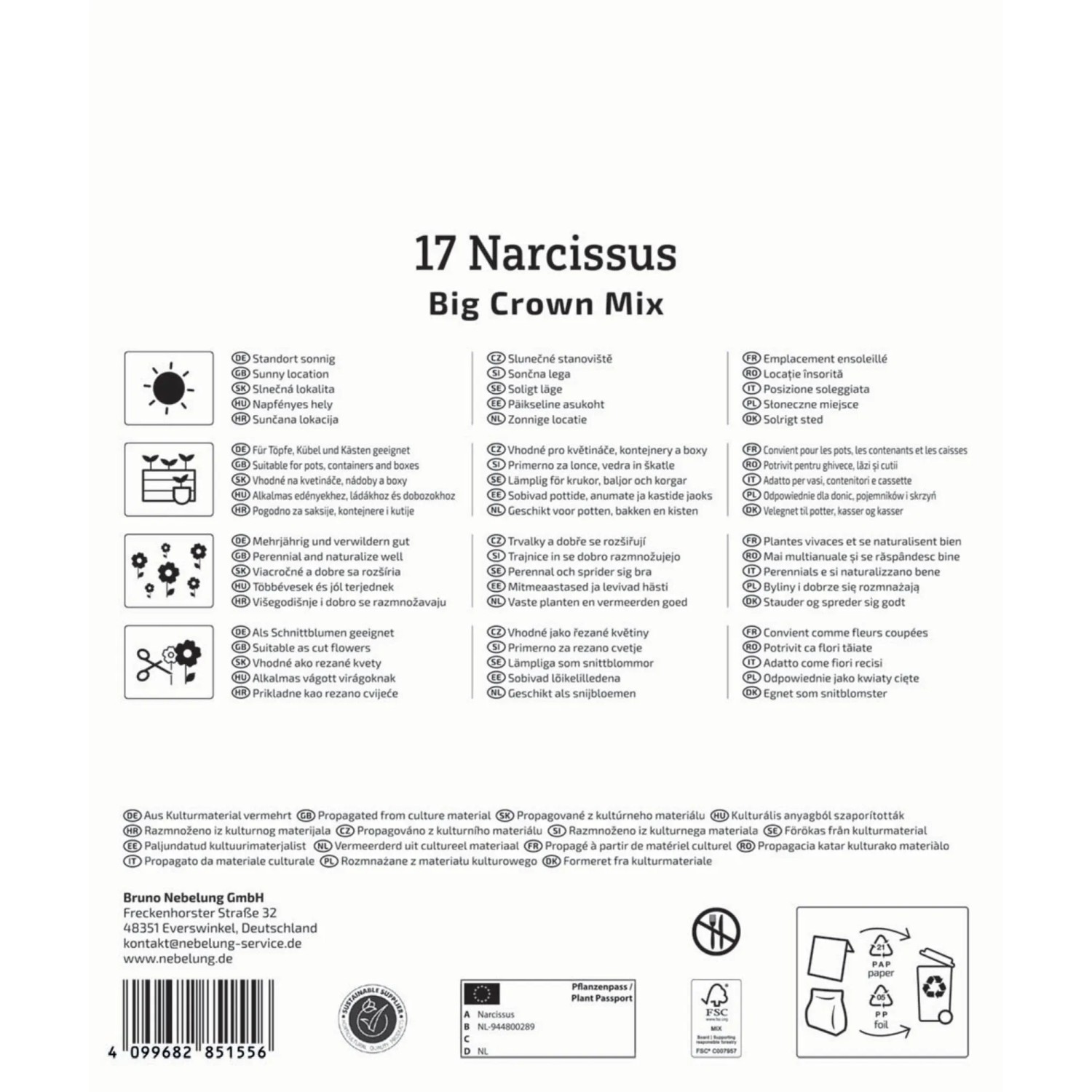 Kiepenkerl Narzissen Mega-Pack, Großkronige Mischung, 17 Stück. Blumenzwiebeln mit gelben und vanillegelben Blüten.