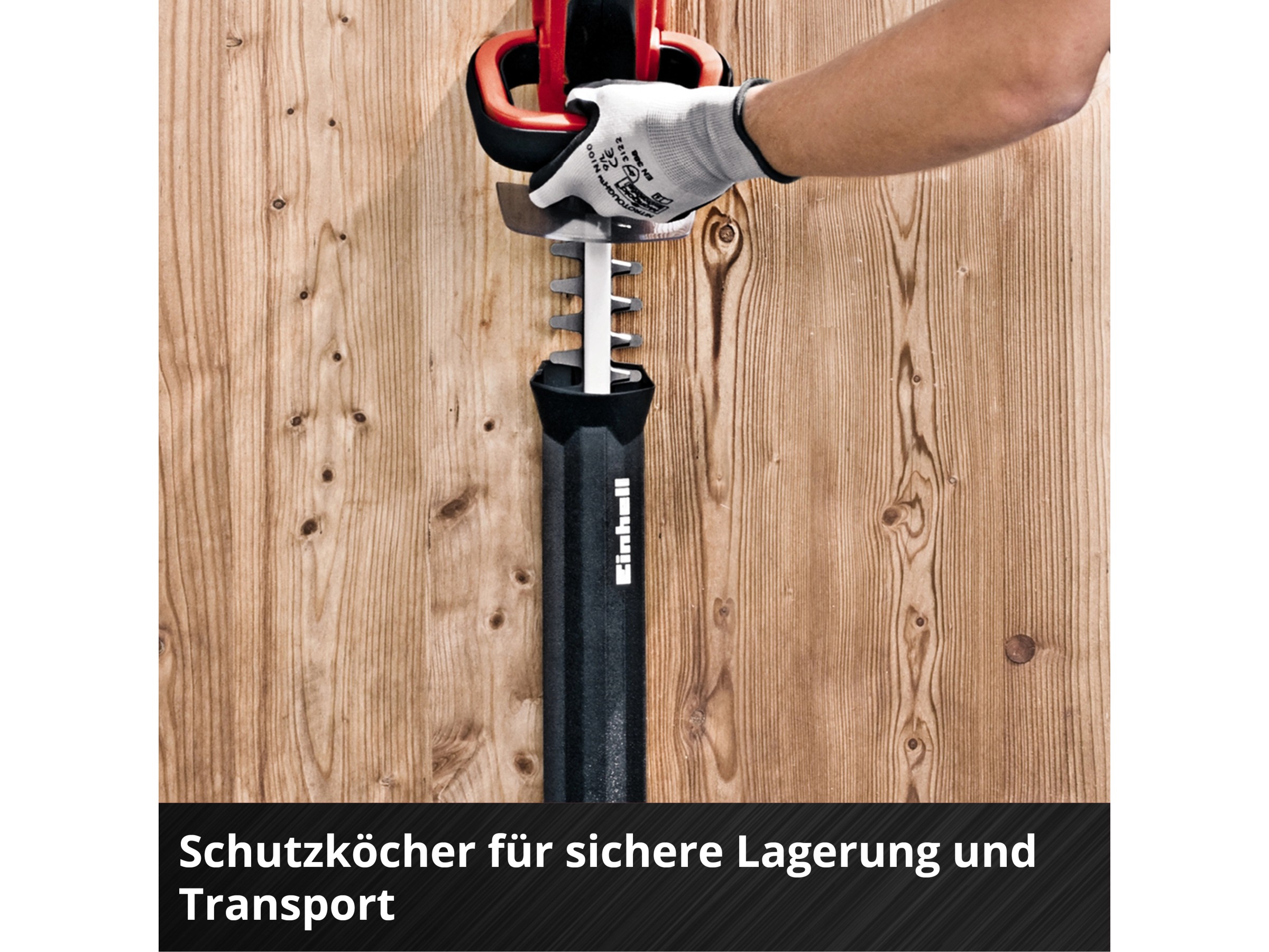 その他 Imperial: 3. Auflage mit zusatzlichen Krediten wgteh8f