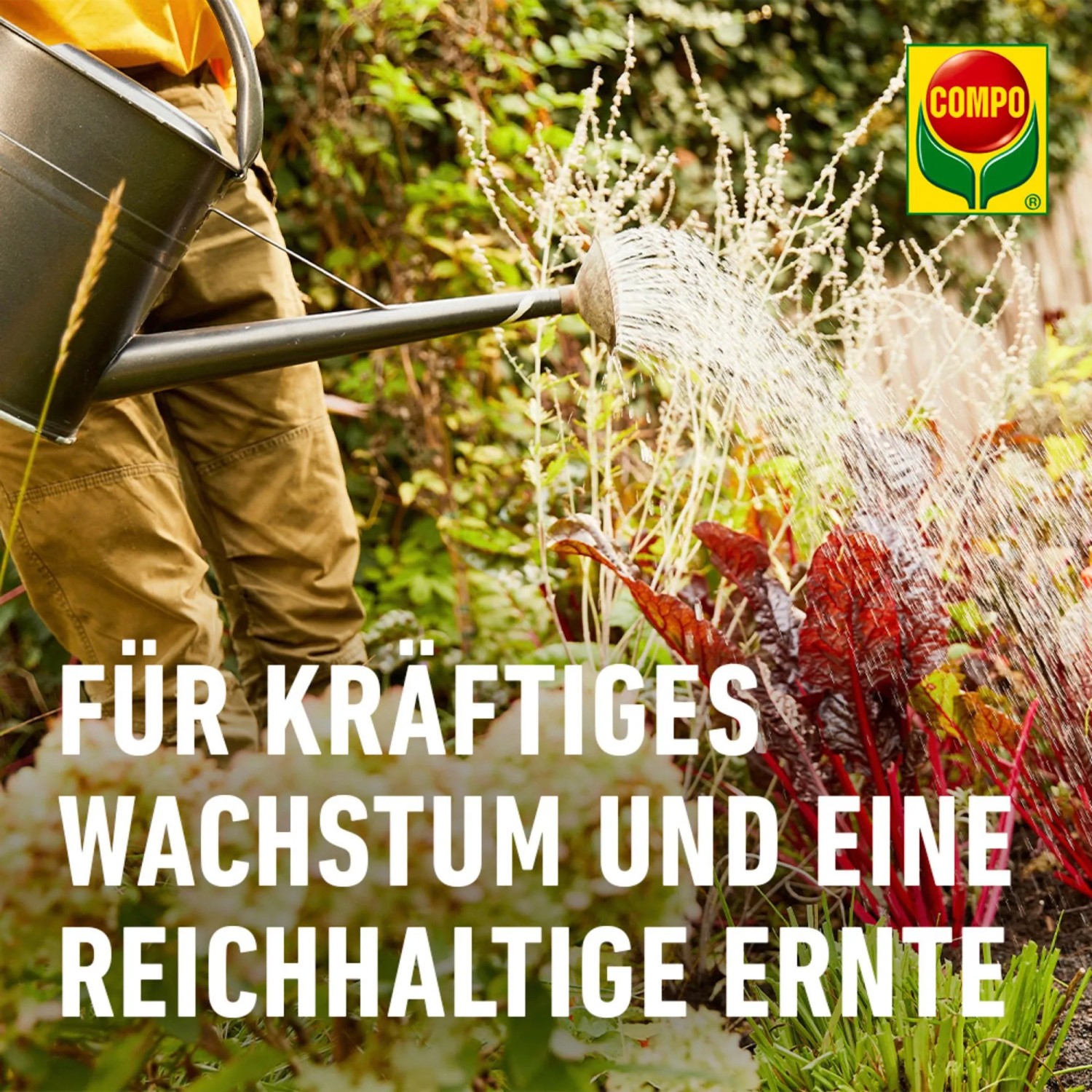 Compo BIO Blaudnger 4 kg kaufen bei OBI