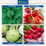 Gemüsesamen-Set für Hochbeet: Spinat, Paprika, Kohlrabi und Radieschen.